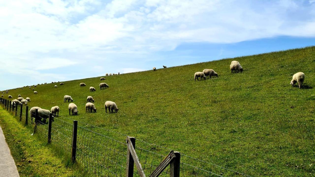 Ferienwohnung Baltrum Auf Dem Elisenhof Hagermarsch Dış mekan fotoğraf
